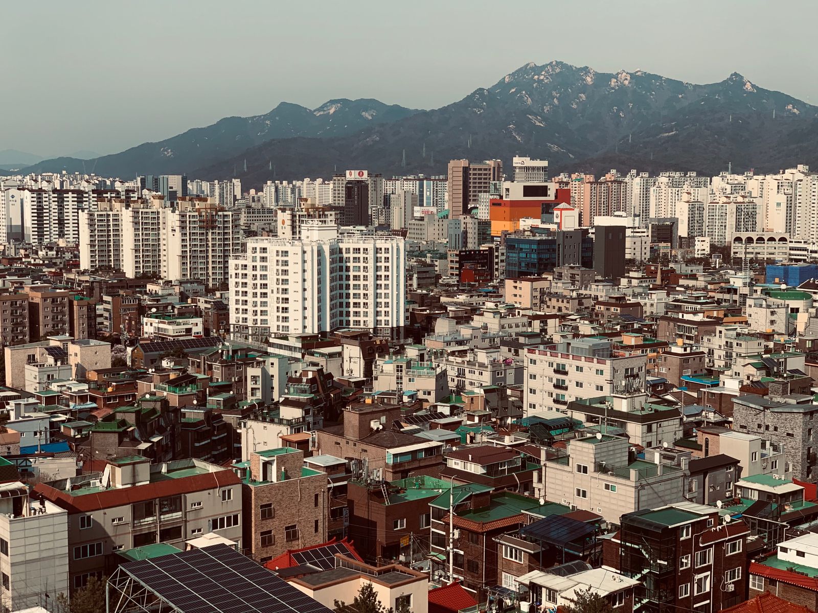 디시 4